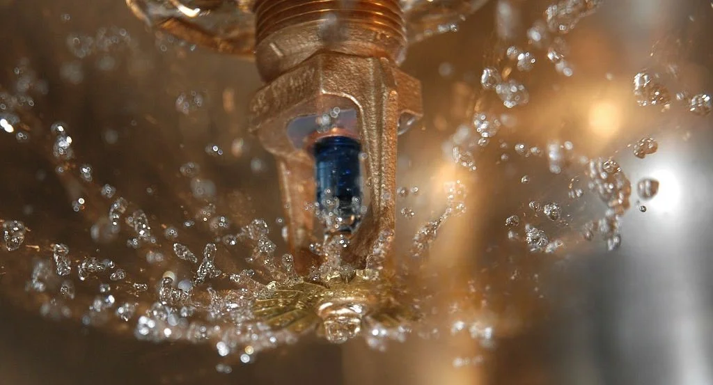 Insumos certificados